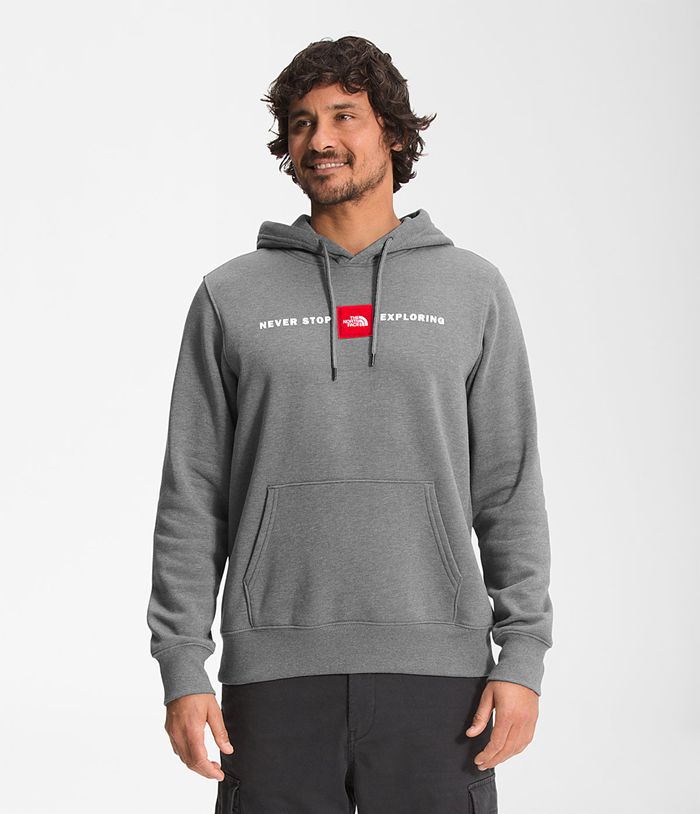 Sudadera Con Capucha The North Face Hombre Gris Red’S Pullover 37695BHEY